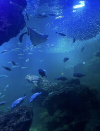 良い夏休みをお過ごしくください☀